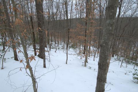 Tiny photo for 6 Lime Plant Road, Appomattox, VA 24522 (MLS # 364654)