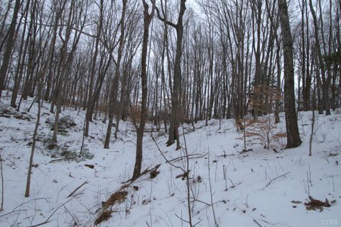 Tiny photo for 6 Lime Plant Road, Appomattox, VA 24522 (MLS # 364654)
