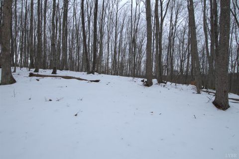 Tiny photo for 6 Lime Plant Road, Appomattox, VA 24522 (MLS # 364654)