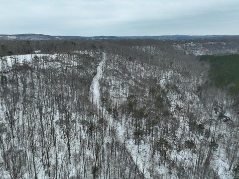 Tiny photo for 6 Lime Plant Road, Appomattox, VA 24522 (MLS # 364654)