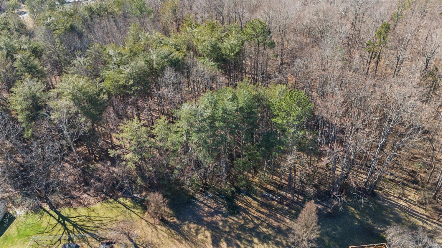 406 Lynbrook Road, Rustburg, Virginia image 41