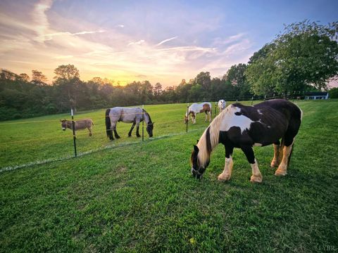 Tiny photo for 1350 Country Estates Drive, Lowry, VA 24570 (MLS # 364897)