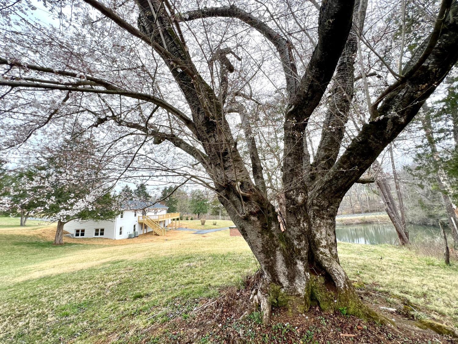100 Northwest Lane, Charlottesville, Virginia image 7