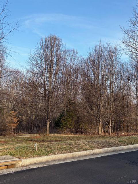 Tiny photo for 0 Jefferson Drive West, Forest, VA 24551 (MLS # 364833)
