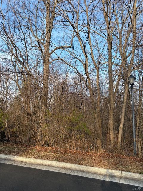 Tiny photo for 0 Jefferson Drive West, Forest, VA 24551 (MLS # 364833)