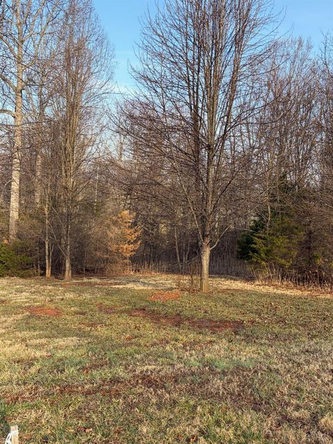 Tiny photo for 0 Jefferson Drive West, Forest, VA 24551 (MLS # 364833)