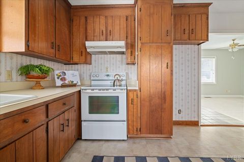 Tiny photo for 4059 Lowry Road, Goode, VA 24556 (MLS # 364456)