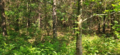 Tiny photo for 0 Earley Farm Rd, Madison Heights, VA 24572 (MLS # 363877)