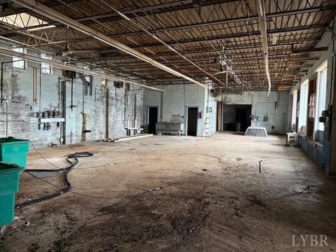 Tiny photo for 2300 Fort Avenue, Lynchburg, VA 24501 (MLS # 361996)