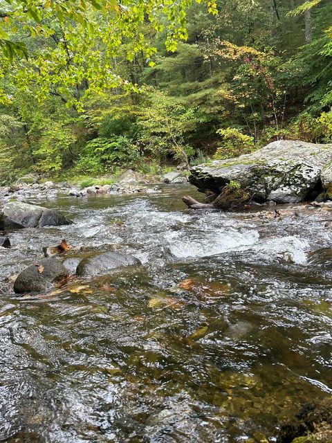 Tiny photo for 2070 Woodson Rd Rd, Roseland, VA 22967 (MLS # 362162)