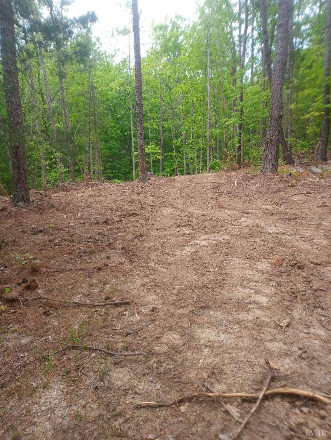 Occoneechee Drive, Clarksville, Virginia image 1