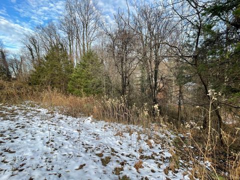 Tiny photo for 753 Burks Hill, Bedford, VA 24523 (MLS # 363353)