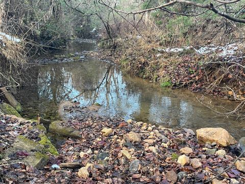 Tiny photo for 753 Burks Hill, Bedford, VA 24523 (MLS # 363353)