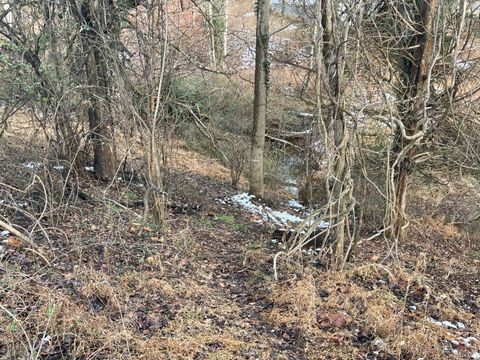 Tiny photo for 753 Burks Hill, Bedford, VA 24523 (MLS # 363353)