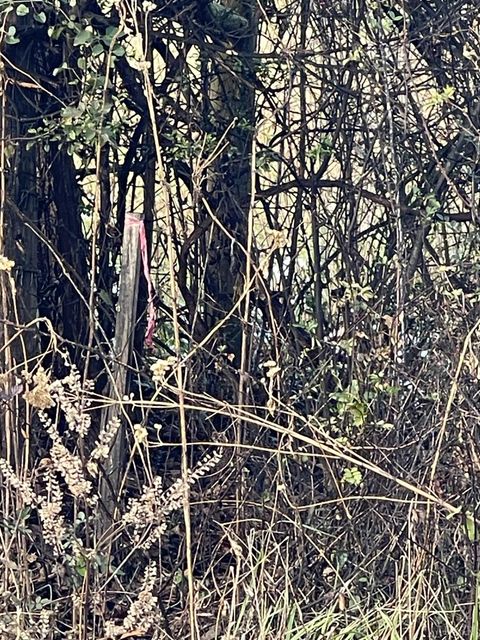 Tiny photo for 753 Burks Hill, Bedford, VA 24523 (MLS # 363353)