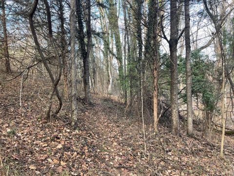 Tiny photo for 753 Burks Hill, Bedford, VA 24523 (MLS # 363353)