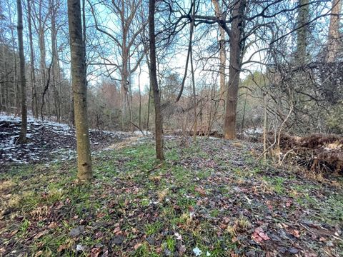 Tiny photo for 753 Burks Hill, Bedford, VA 24523 (MLS # 363353)