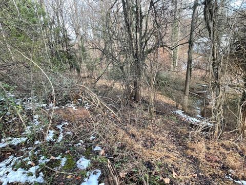 Tiny photo for 753 Burks Hill, Bedford, VA 24523 (MLS # 363353)