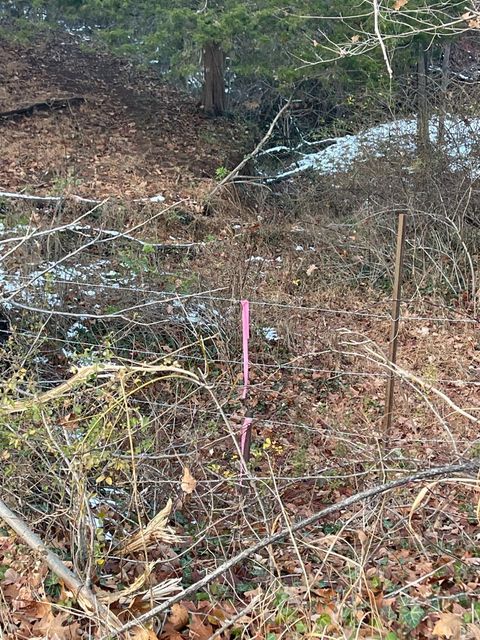 Tiny photo for 753 Burks Hill, Bedford, VA 24523 (MLS # 363353)