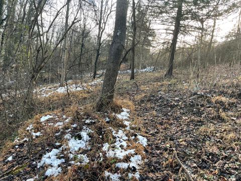 Tiny photo for 753 Burks Hill, Bedford, VA 24523 (MLS # 363353)