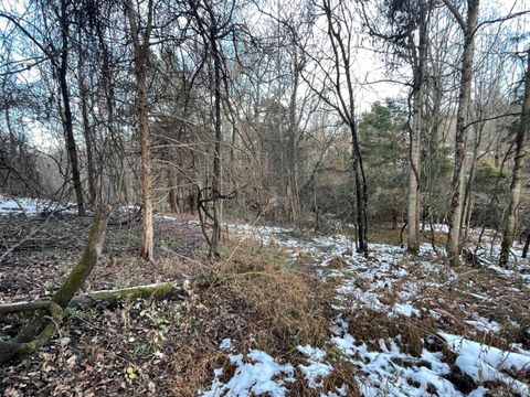 Tiny photo for 753 Burks Hill, Bedford, VA 24523 (MLS # 363353)