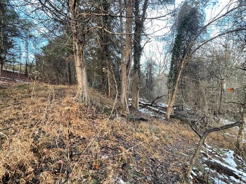 Tiny photo for 753 Burks Hill, Bedford, VA 24523 (MLS # 363353)