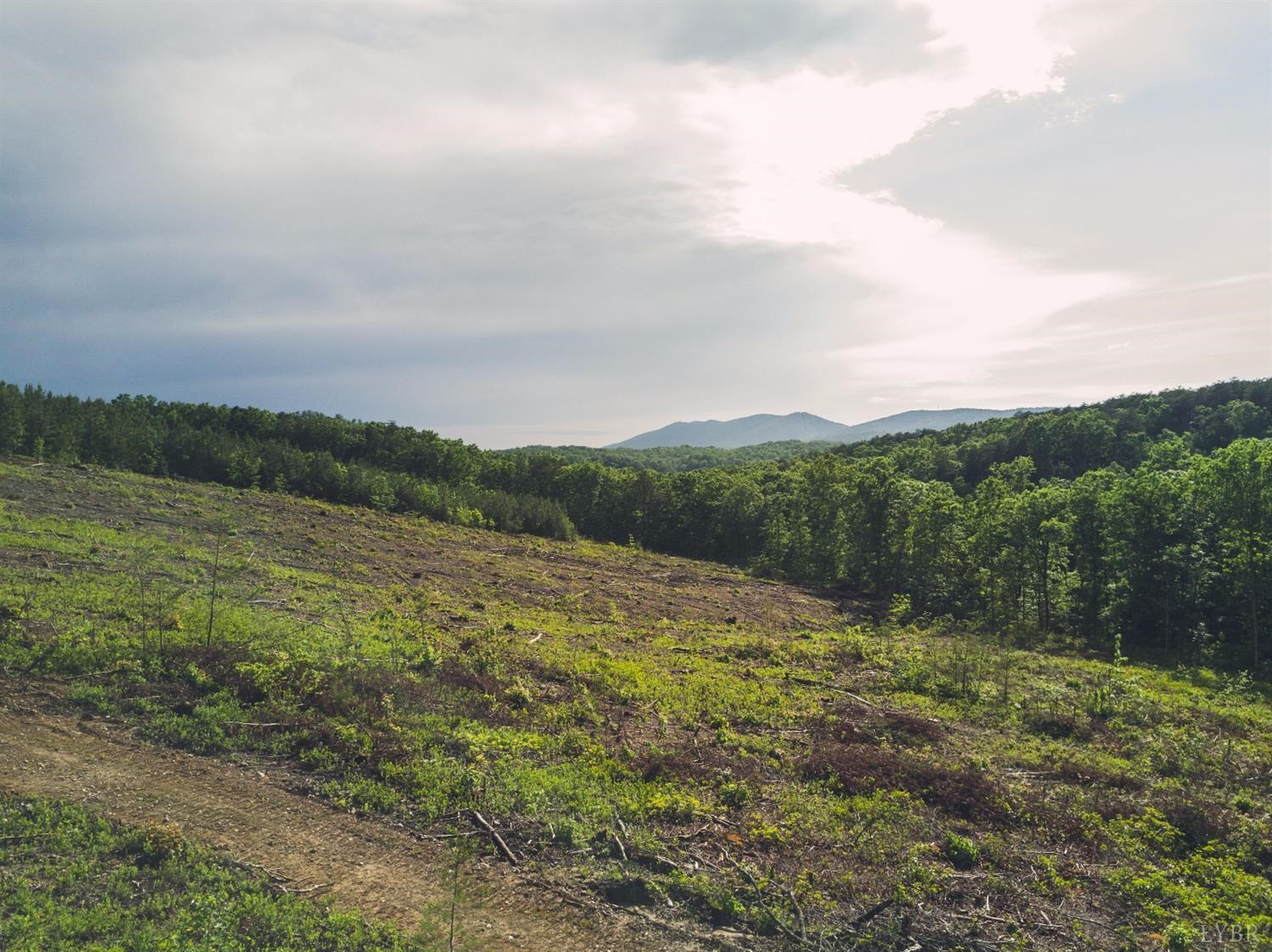 Terrapin Creek Road, Huddleston, Virginia image 6