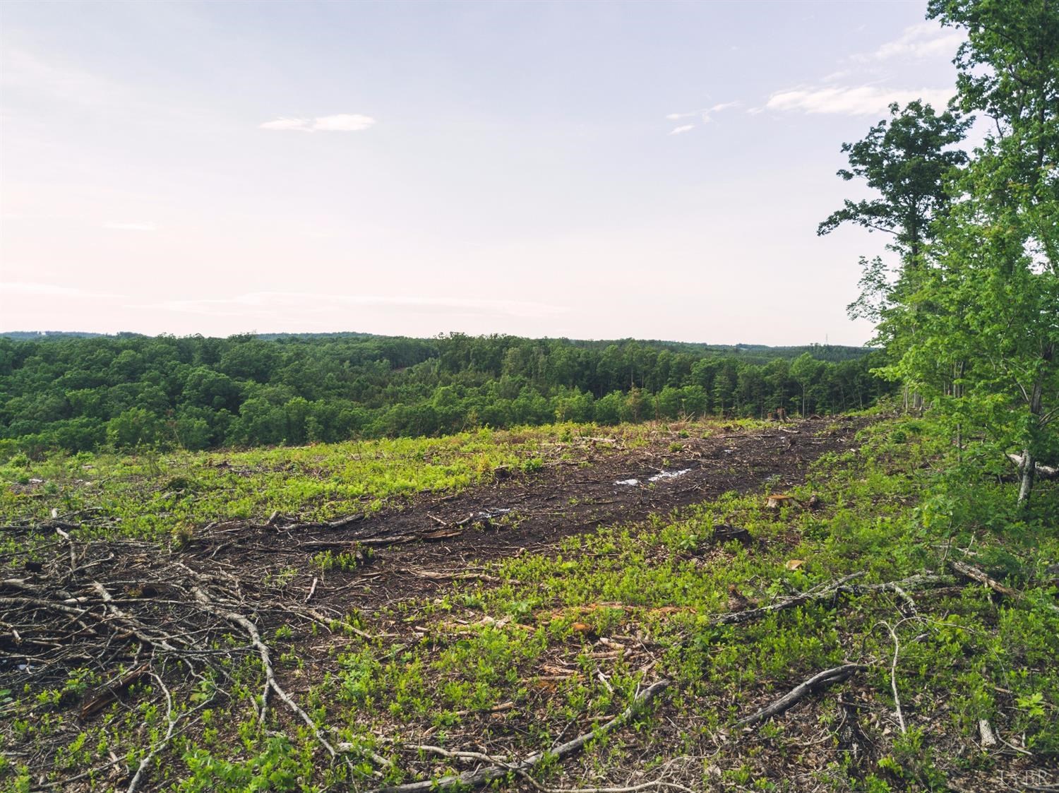 Terrapin Creek Road, Huddleston, Virginia image 8