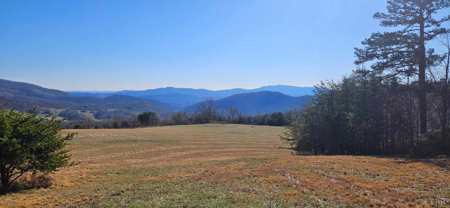 Lexington Turnpike, Amherst, Virginia image 6