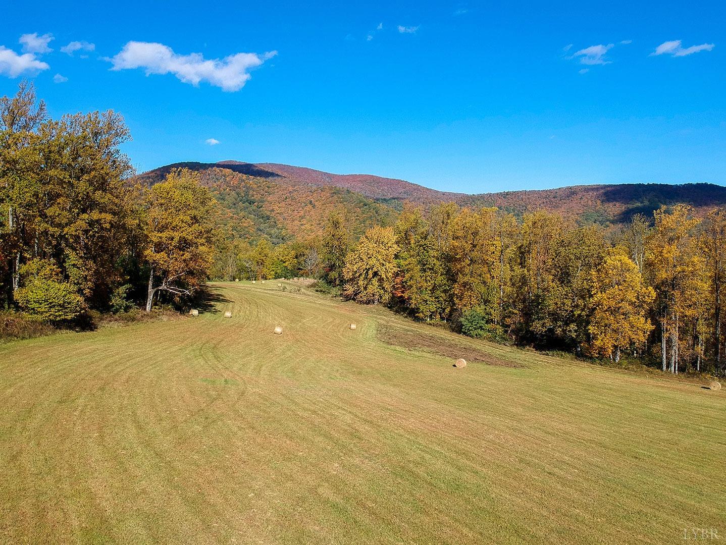 Lexington Turnpike, Amherst, Virginia image 5