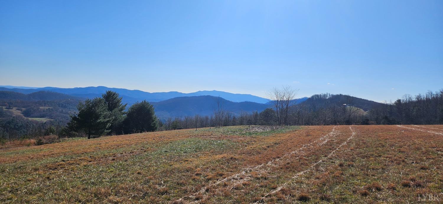 Lexington Turnpike, Amherst, Virginia image 19