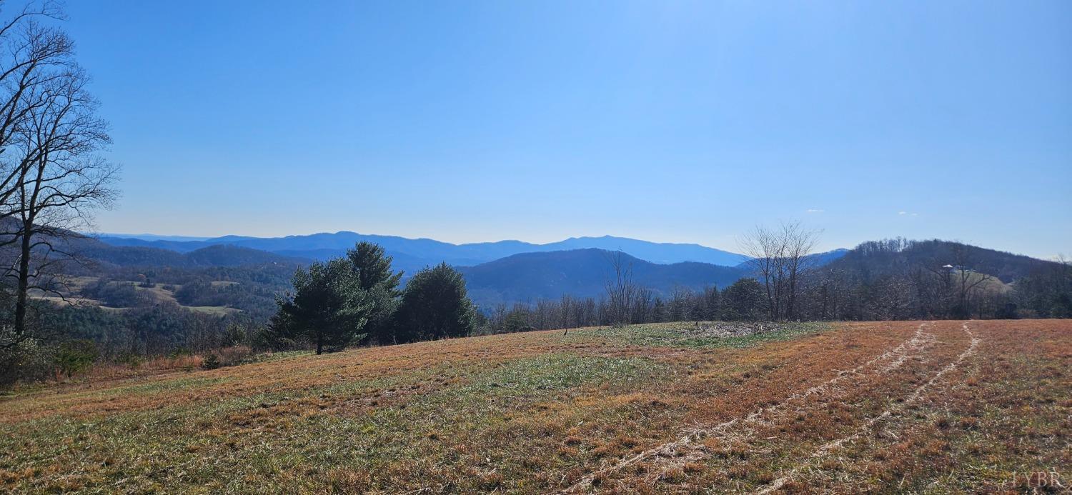 Lexington Turnpike, Amherst, Virginia image 4