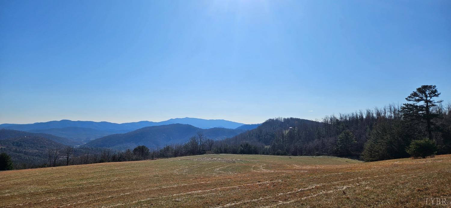 Lexington Turnpike, Amherst, Virginia image 18