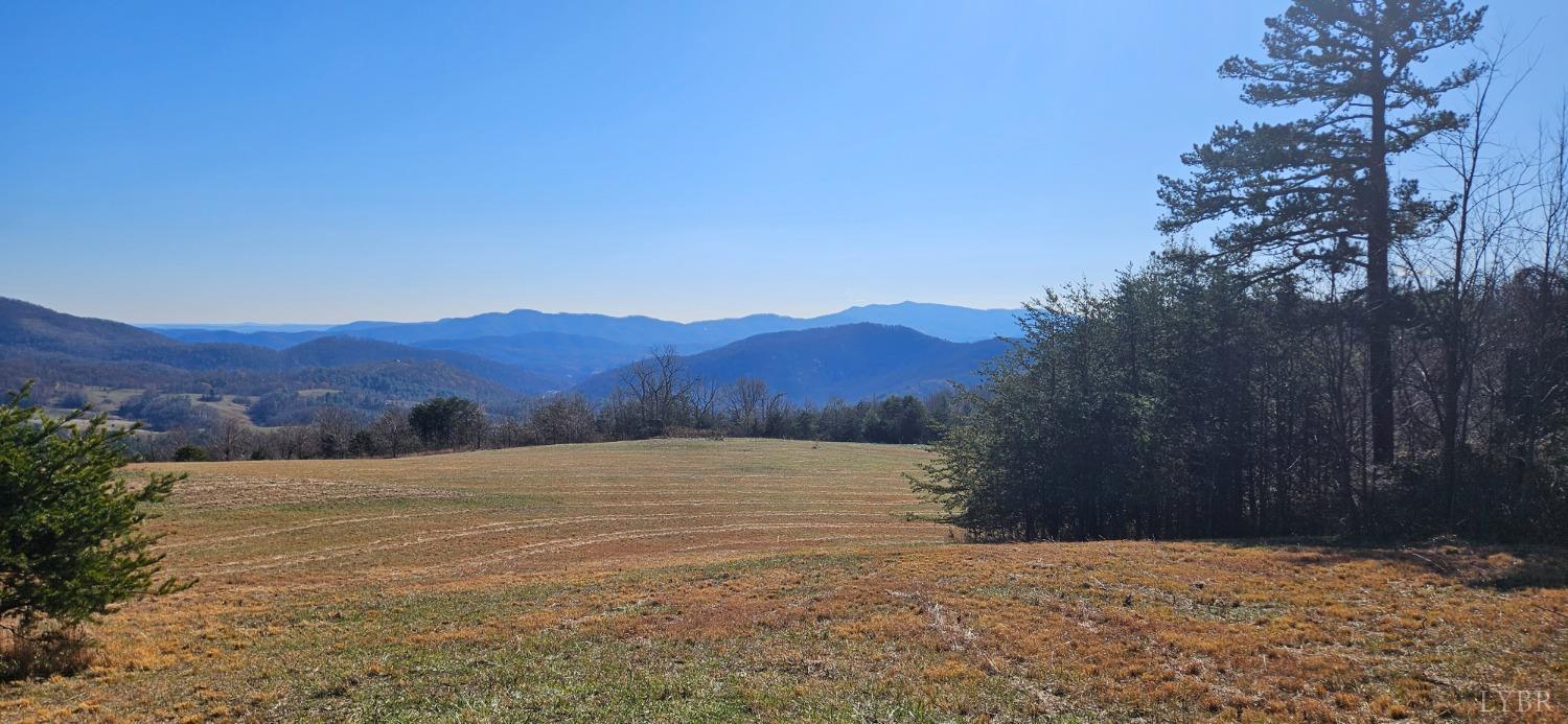 Lexington Turnpike, Amherst, Virginia image 1