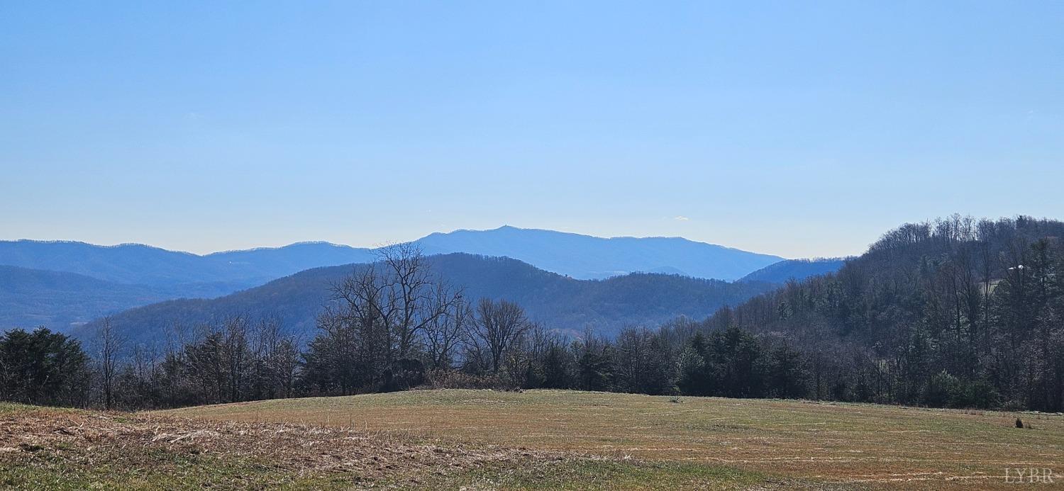 Lexington Turnpike, Amherst, Virginia image 20