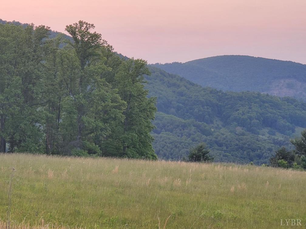 Lexington Turnpike, Amherst, Virginia image 16