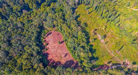 Tiny photo for 206 Waughs Landing Drive, Lynchburg, VA 24503 (MLS # 364794)