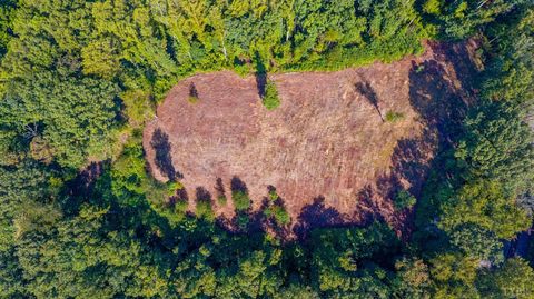 Tiny photo for 206 Waughs Landing Drive, Lynchburg, VA 24503 (MLS # 364794)