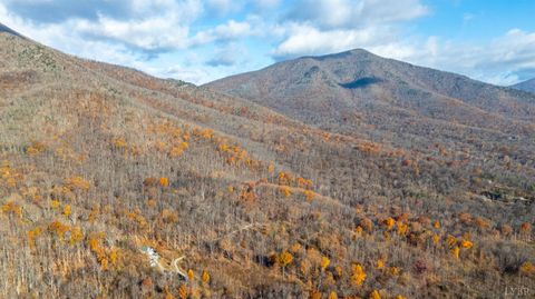 Tiny photo for 1905 Karnes Road, Bedford, VA 24523 (MLS # 363115)