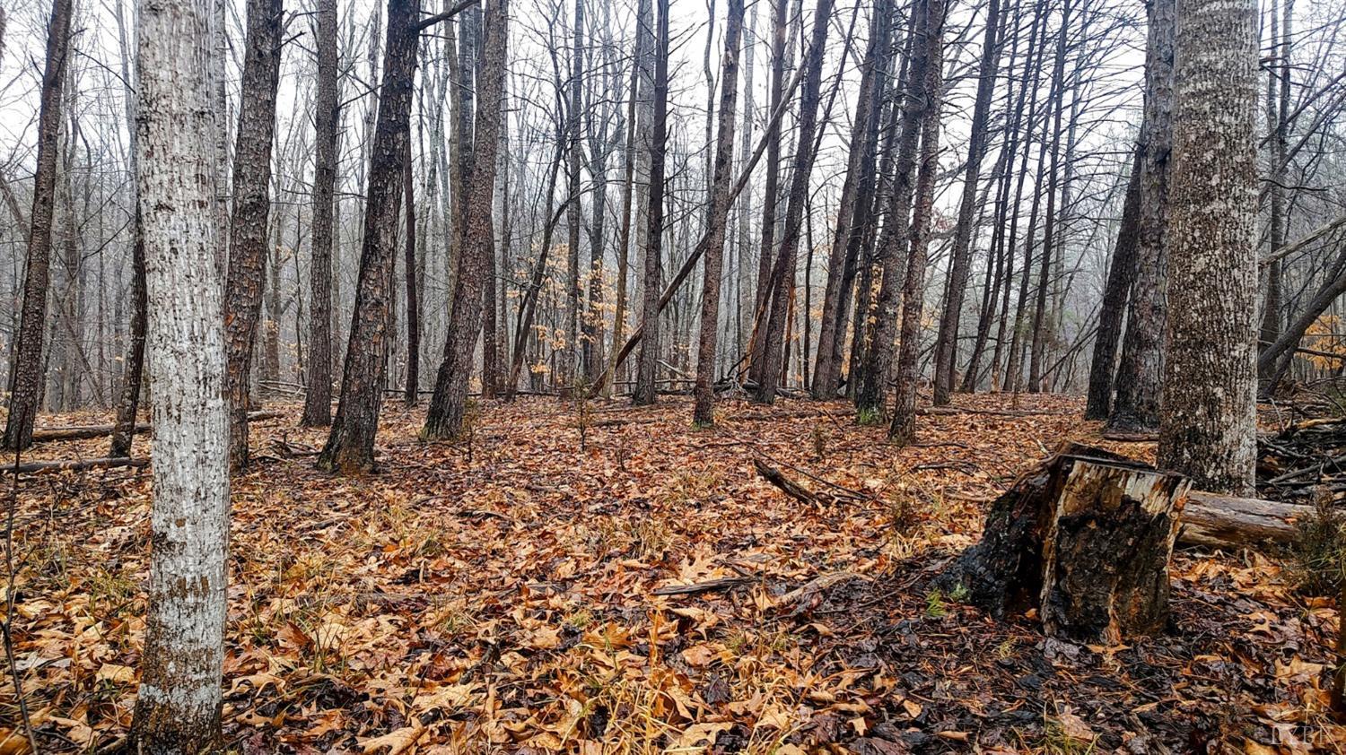 Brook Run, Moneta, Virginia image 3