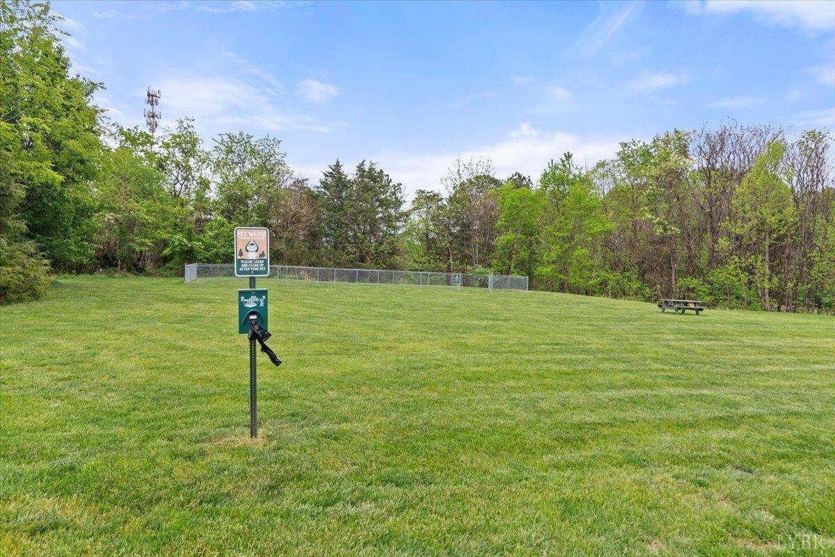 1256 Blue Ridge View Circle, Forest, Virginia image 45