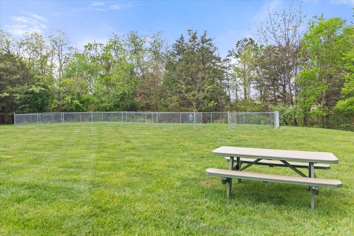 1256 Blue Ridge View Circle, Forest, Virginia image 44