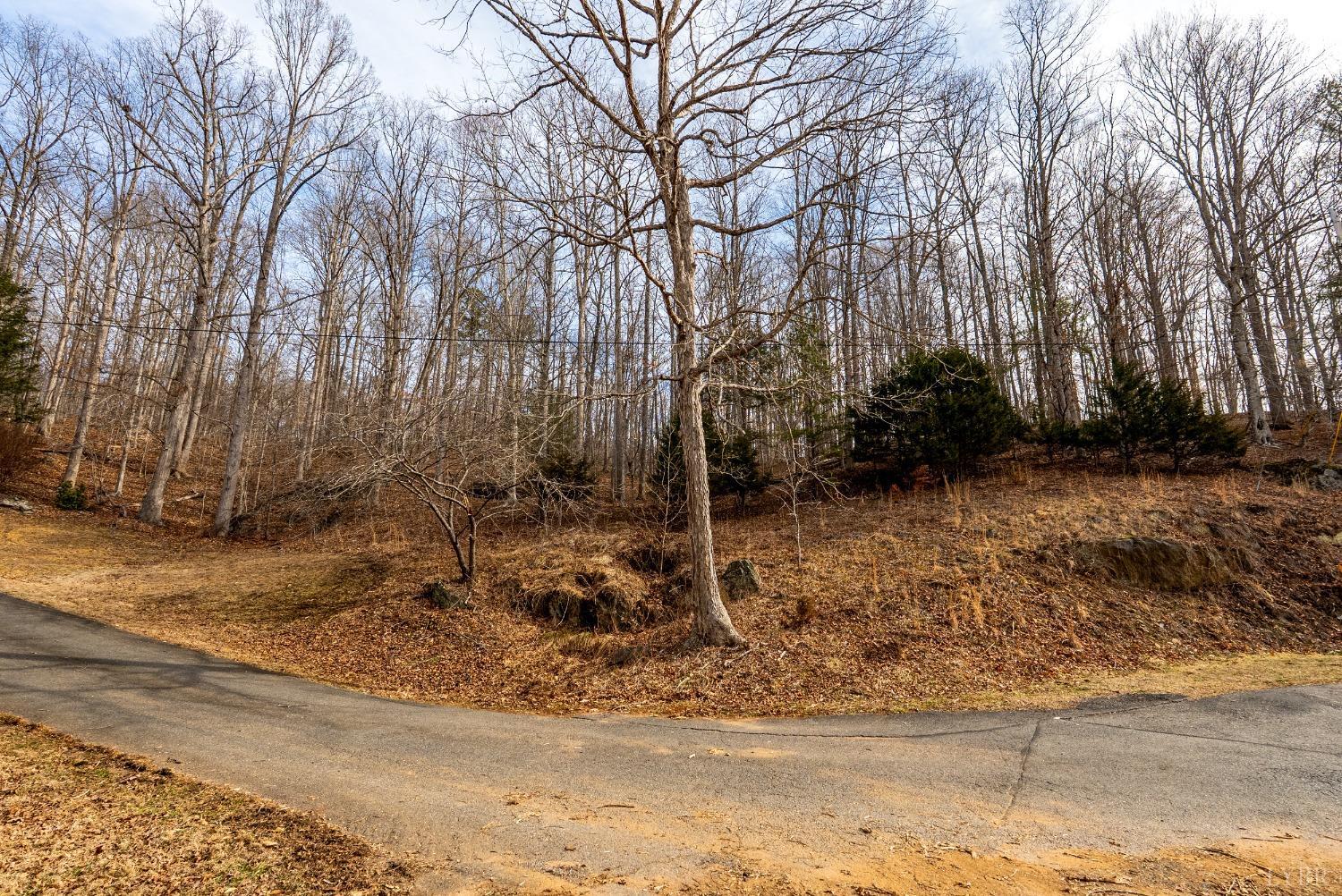 8 Lot Cottage Charm, Goode, Virginia image 10