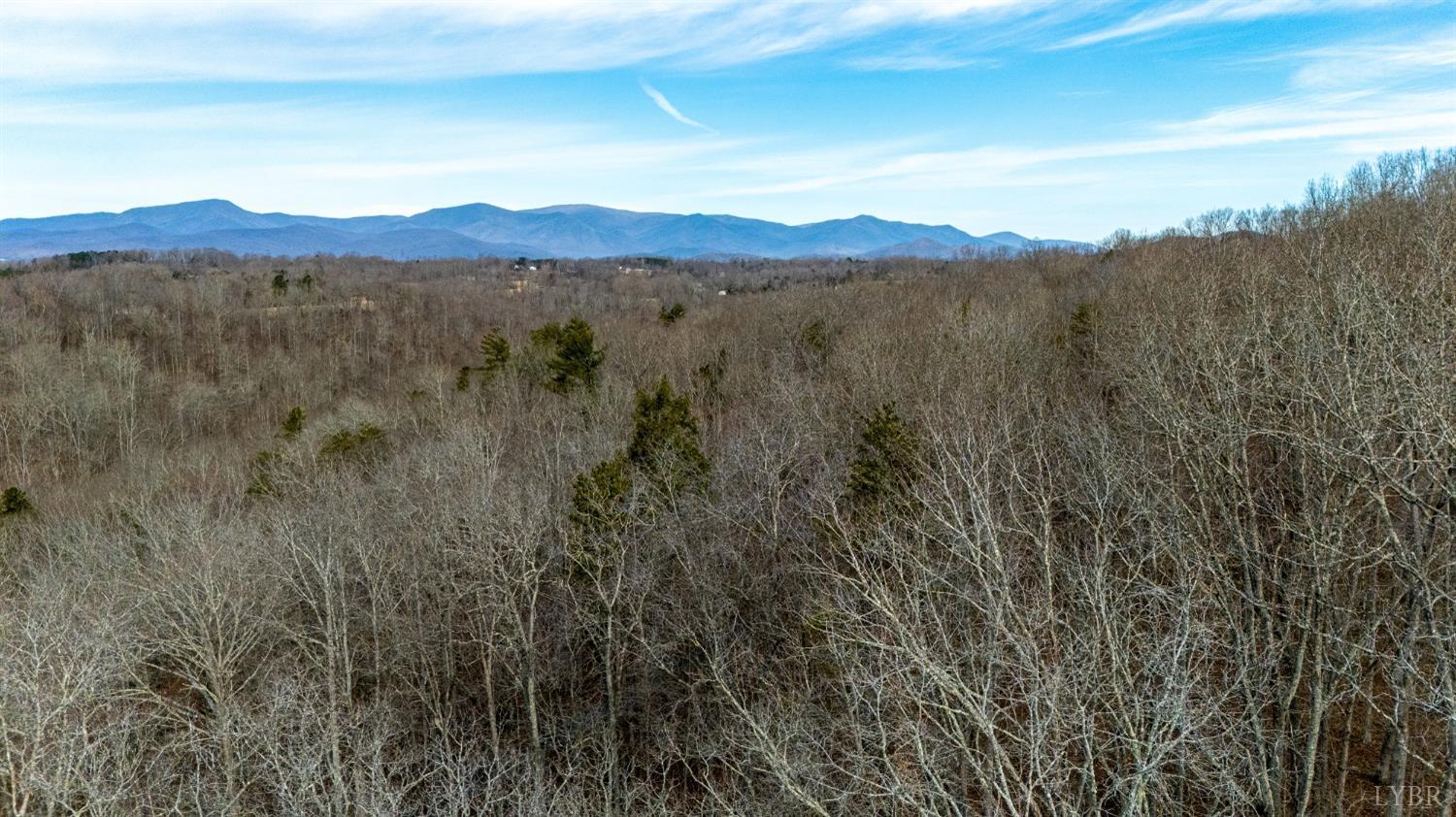 8 Lot Cottage Charm, Goode, Virginia image 33