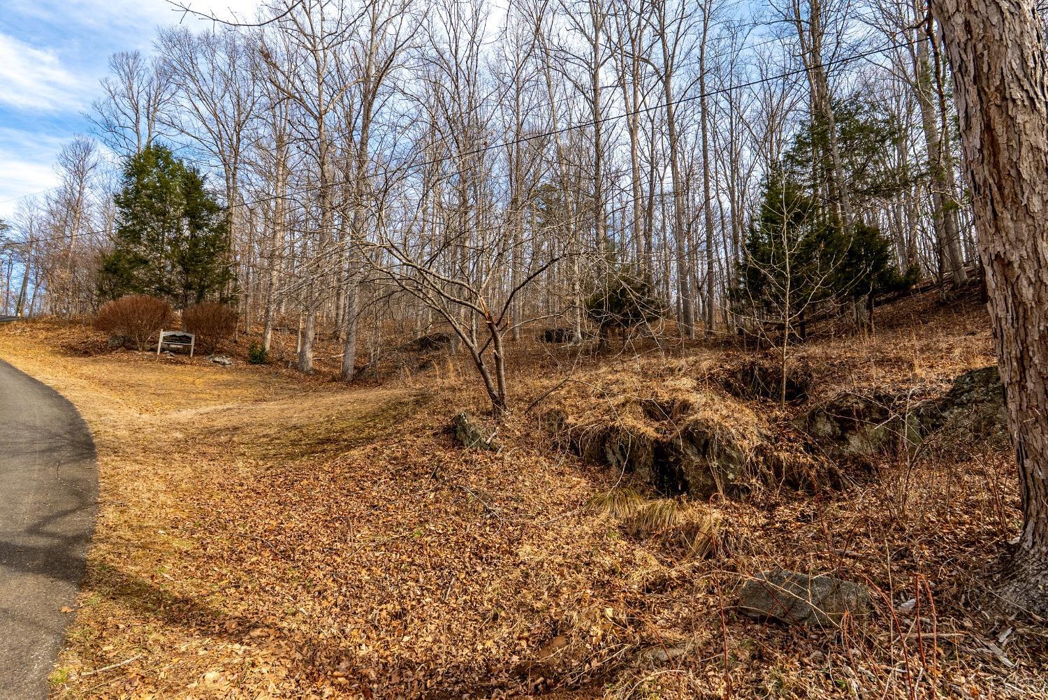 8 Lot Cottage Charm, Goode, Virginia image 8
