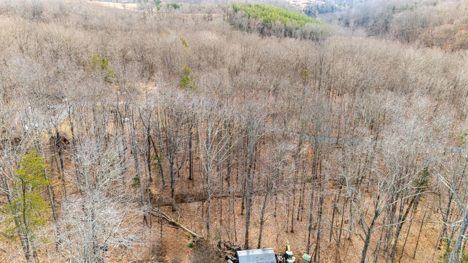 8 Lot Cottage Charm, Goode, Virginia image 32