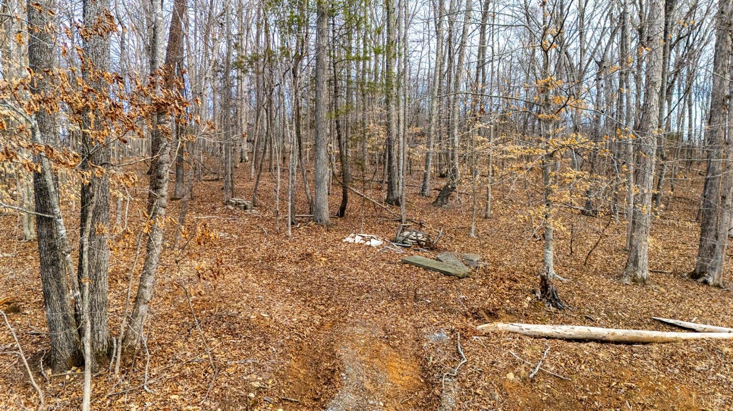 8 Lot Cottage Charm, Goode, Virginia image 39
