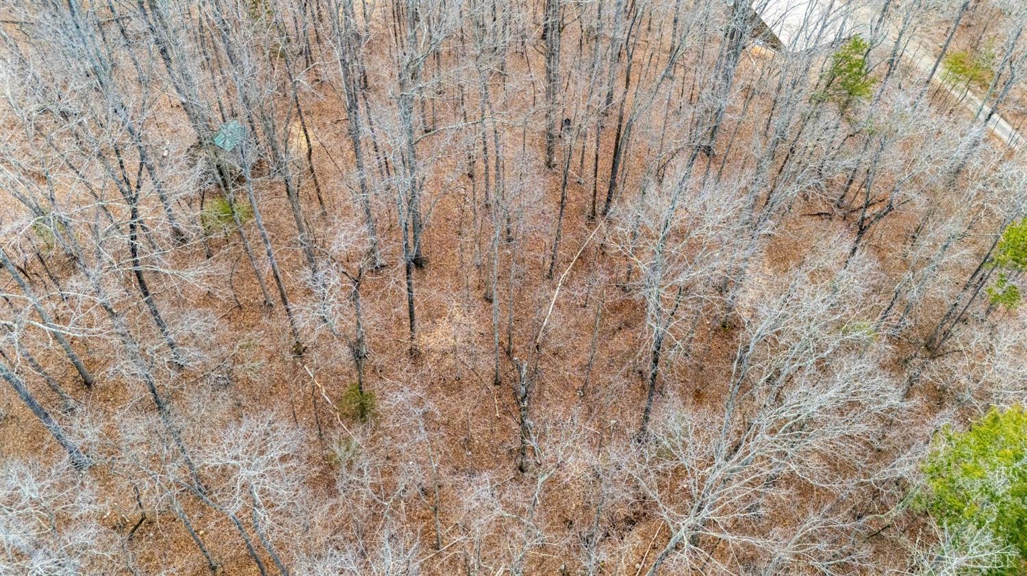 8 Lot Cottage Charm, Goode, Virginia image 36
