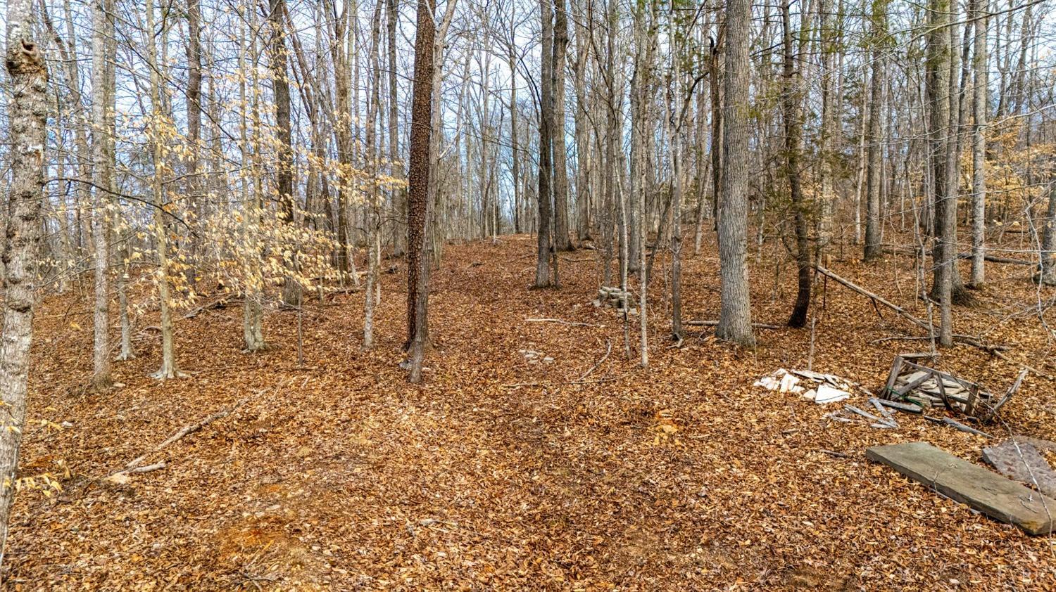 8 Lot Cottage Charm, Goode, Virginia image 40