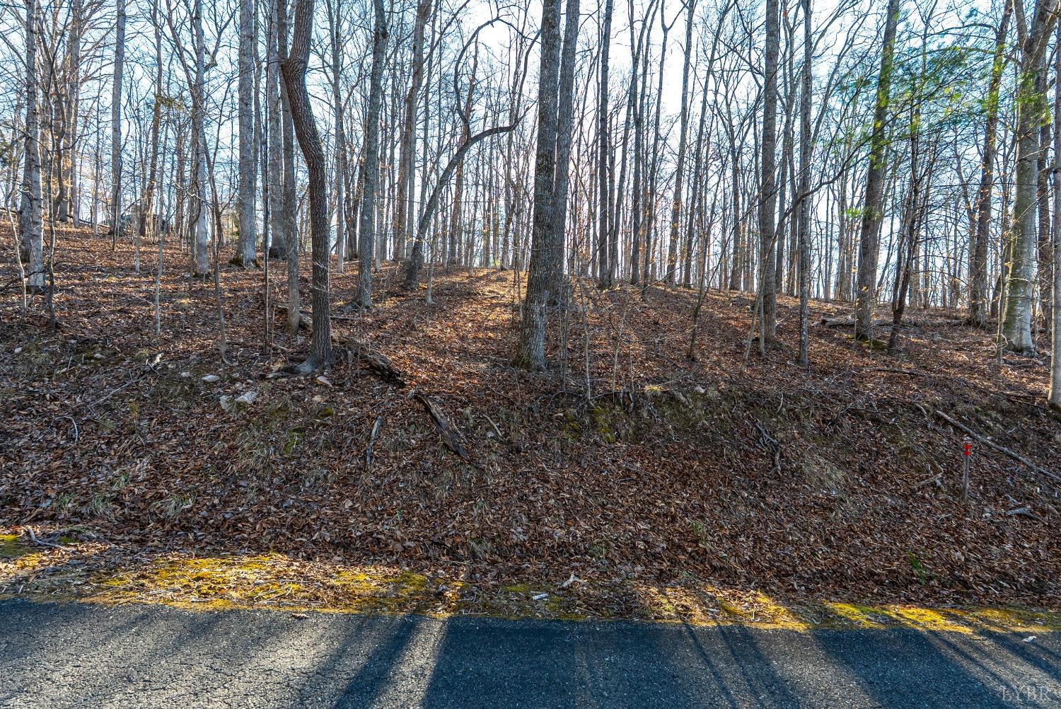 8 Lot Cottage Charm, Goode, Virginia image 45